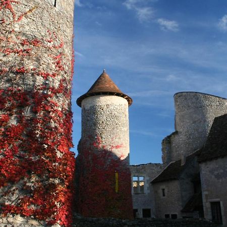 Chateau D'Ingrandes Ingrandes  Exteriör bild