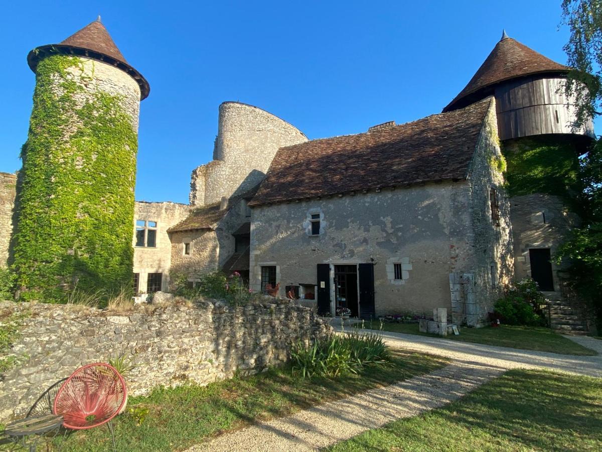 Chateau D'Ingrandes Ingrandes  Exteriör bild