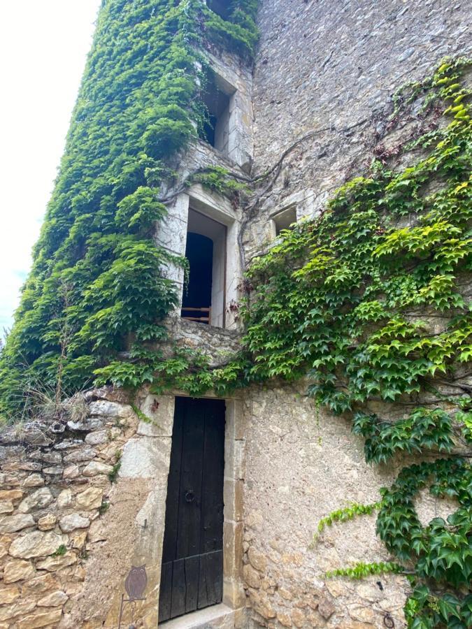 Chateau D'Ingrandes Ingrandes  Exteriör bild