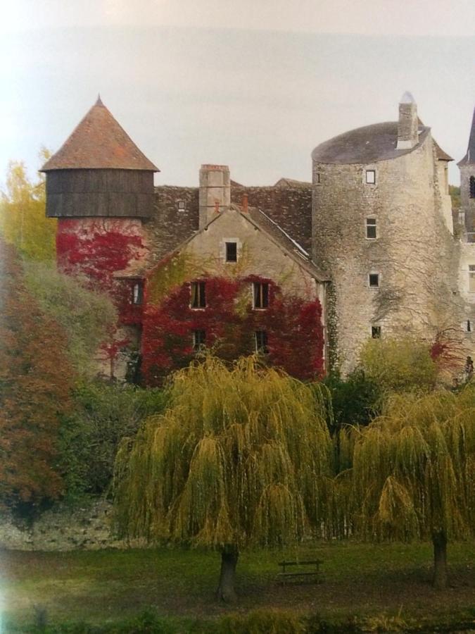 Chateau D'Ingrandes Ingrandes  Exteriör bild