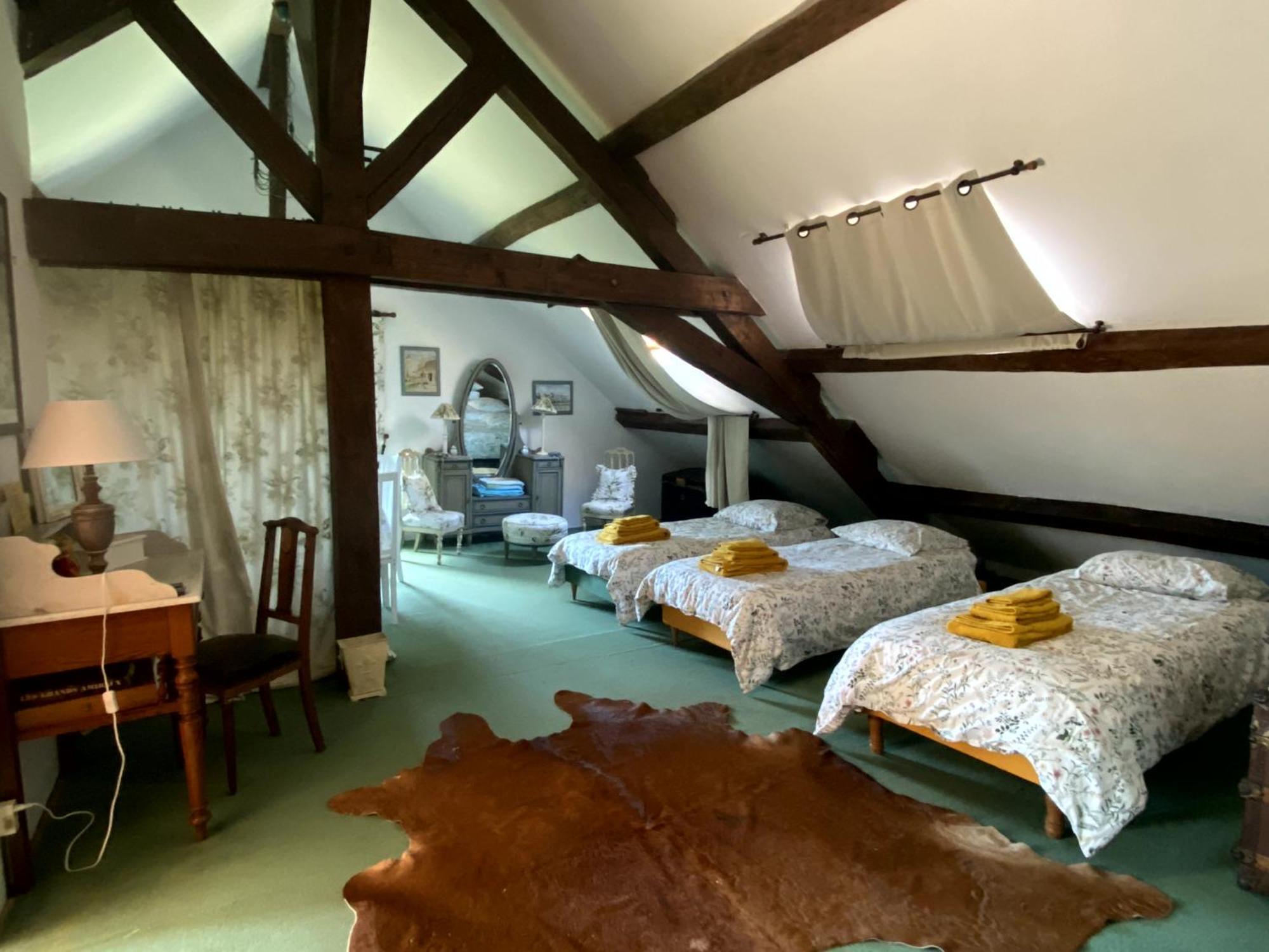 Chateau D'Ingrandes Ingrandes  Rum bild