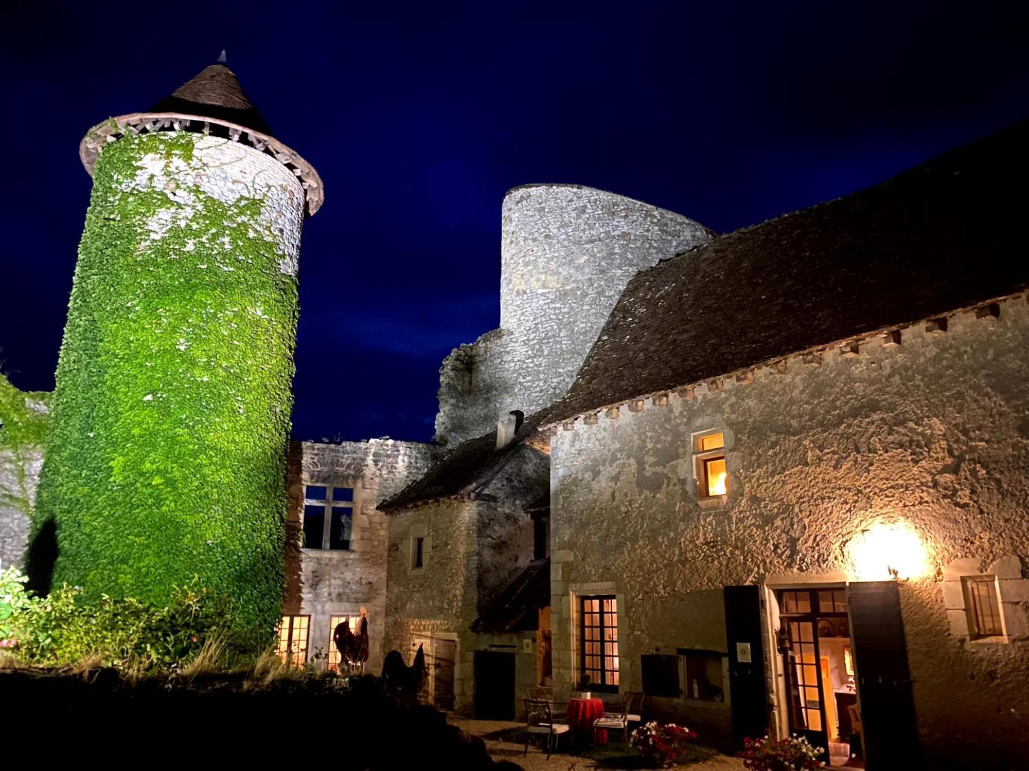 Chateau D'Ingrandes Ingrandes  Exteriör bild