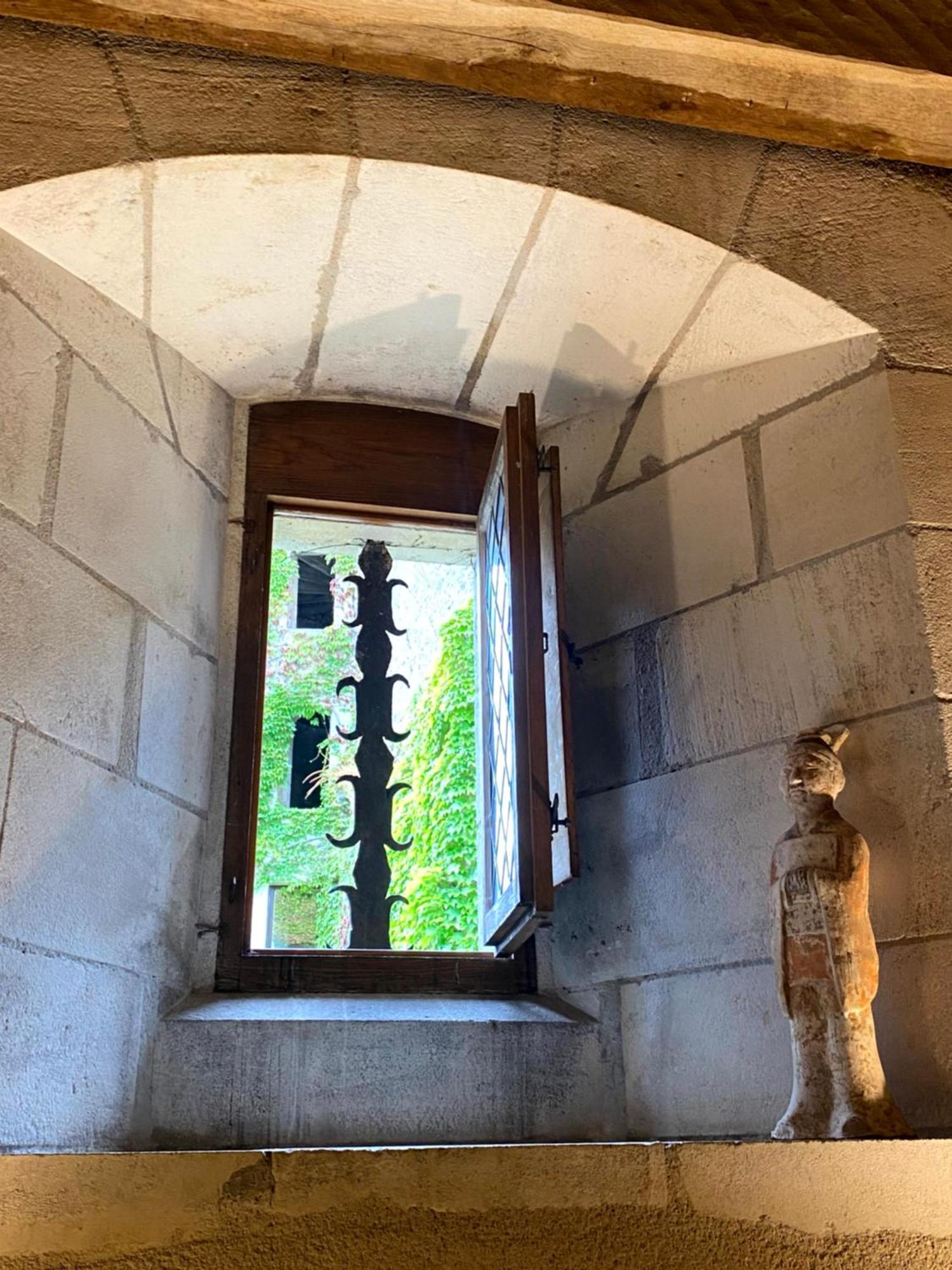 Chateau D'Ingrandes Ingrandes  Rum bild