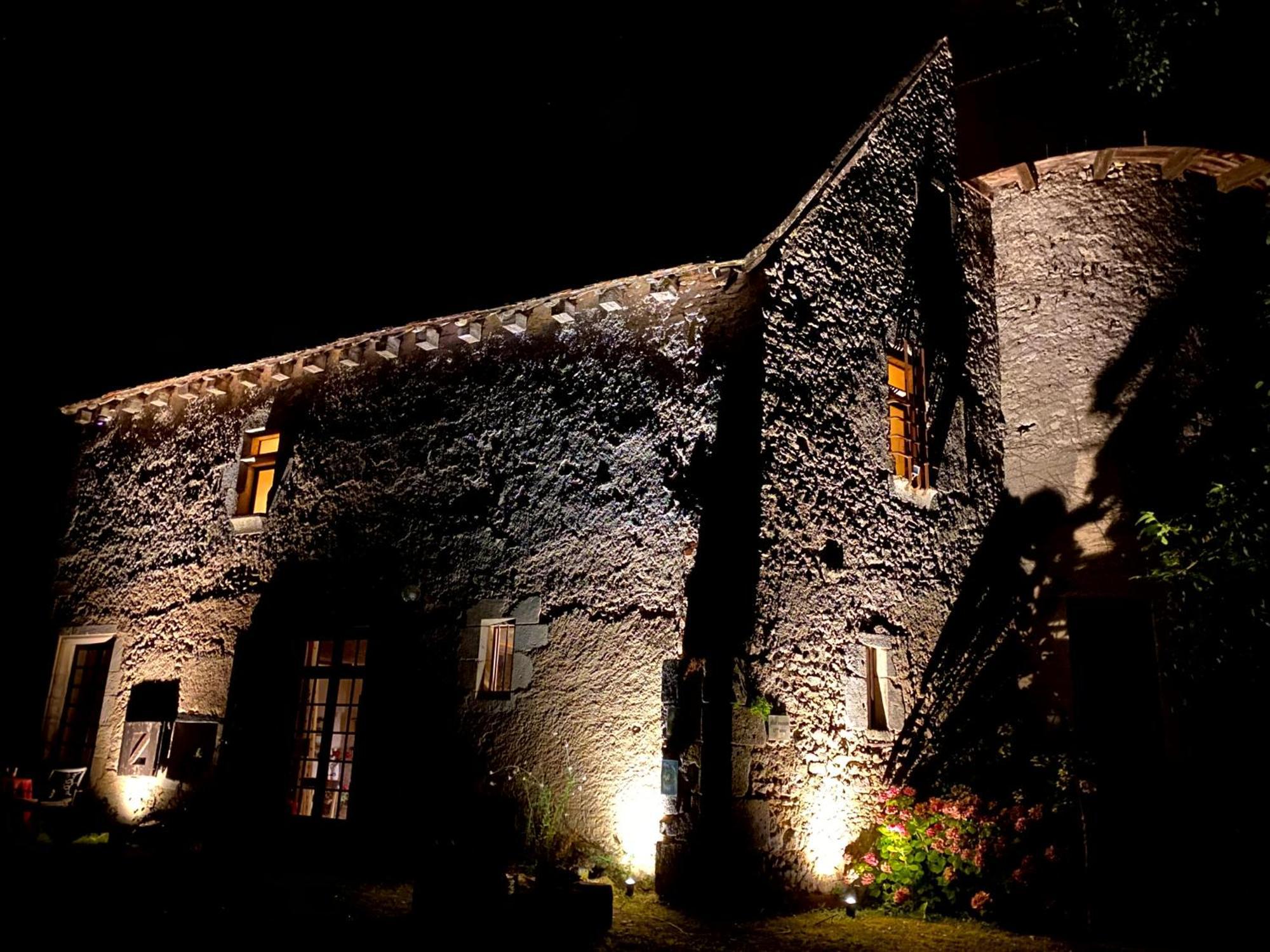 Chateau D'Ingrandes Ingrandes  Exteriör bild